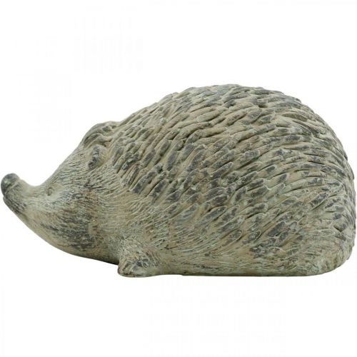Floristik24 Figura decorativa erizo 22cm decoración de jardín otoño verde antiguo 20 × 12 × A10cm