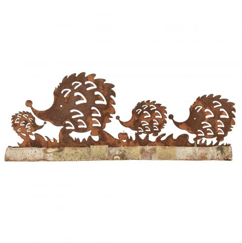 Floristik24 Familia erizo decoración óxido pátina otoñal 38x4,5x13,5cm