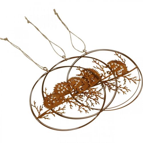 Artículo Colgante de metal, erizo en rama, decoración otoñal, anillo decorativo pátina Ø15,5cm 3 piezas
