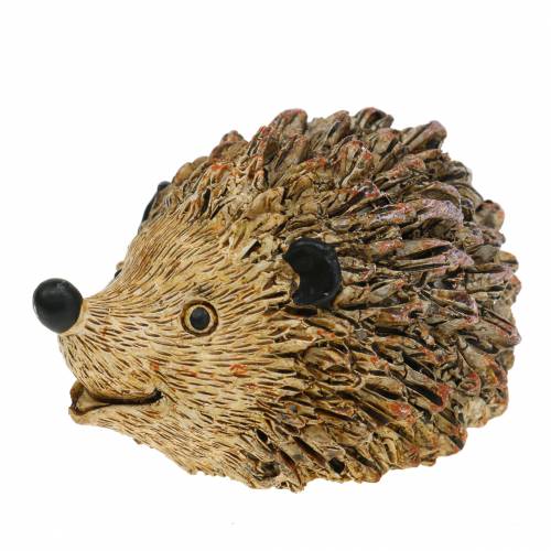 Floristik24 Figura decorativa erizo naturaleza 6,5cm