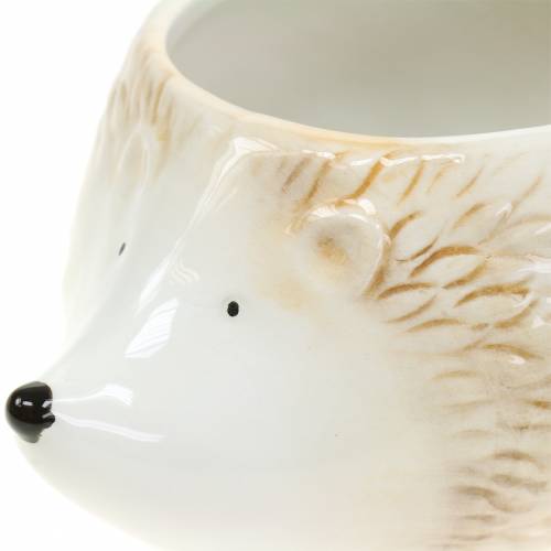 Floristik24 Macetero erizo de cerámica crema 14cm x 11cm H9cm 4pcs