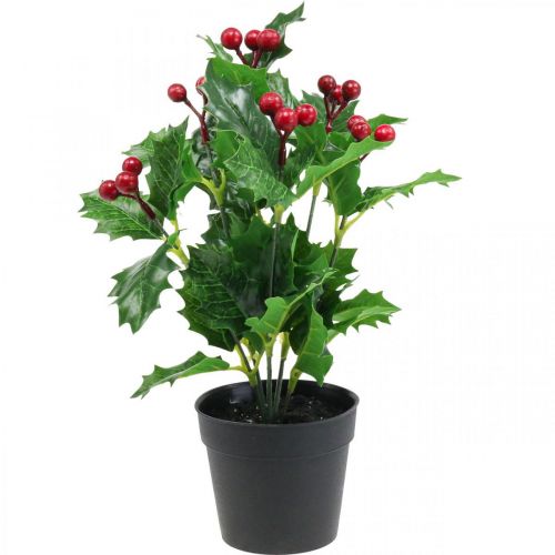 Floristik24 Acebo en maceta plantas artificiales Ilex artificial 26cm