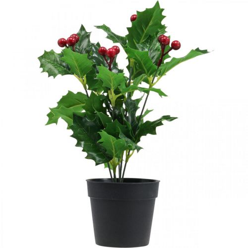 Floristik24 Acebo en maceta plantas artificiales Ilex artificial 26cm