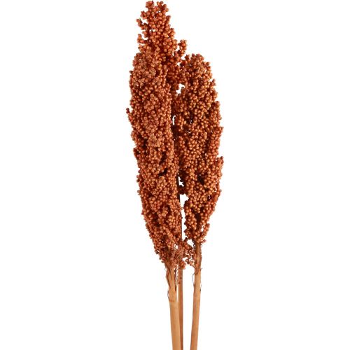 Maíz Indio Flores Secas Maíz Indio Naranja 72cm 3uds