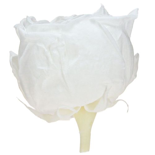 Artículo Rosas Infinitas Reales Preservadas Cabezas de Rosa Blancas Ø6cm 6 uds