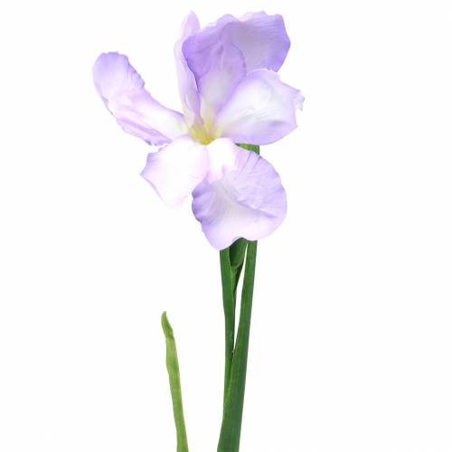 Floristik24 Iris artificial violeta 78cm