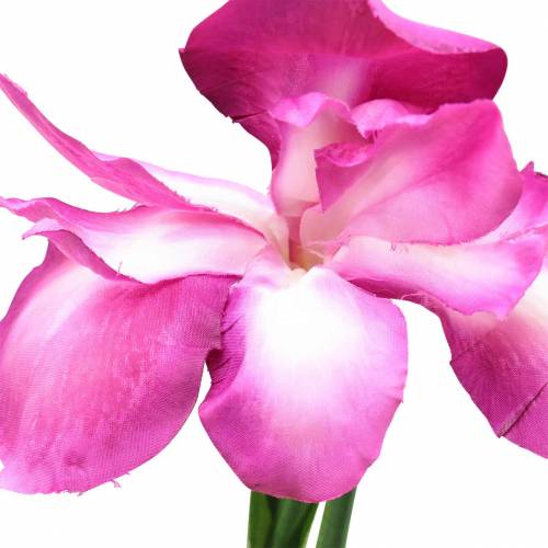 Artículo Iris artificial Rosa 78cm