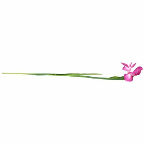 Artículo Iris artificial Rosa 78cm
