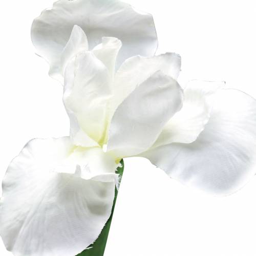 Floristik24 Iris artificialmente blanco 78cm