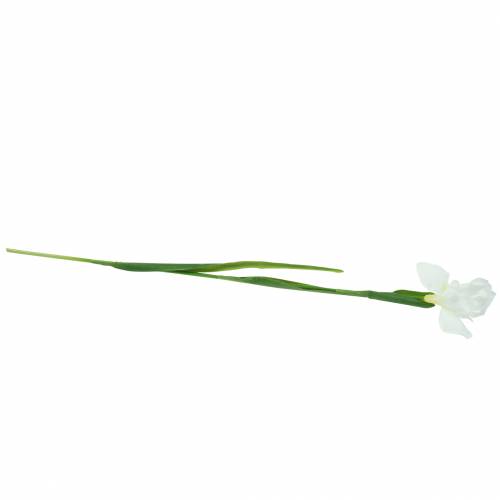 Floristik24 Iris artificialmente blanco 78cm