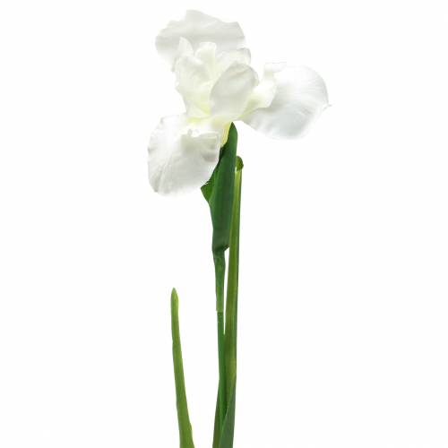 Floristik24 Iris artificialmente blanco 78cm