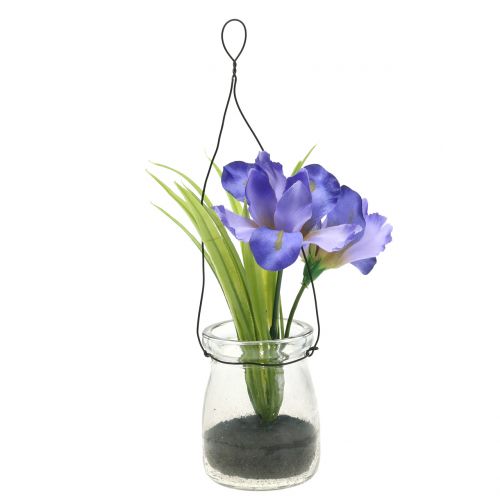 Floristik24 Iris lila en vidrio para colgar H21,5cm