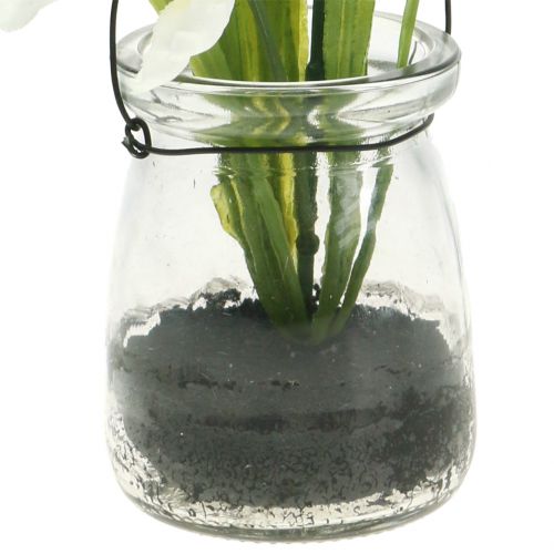 Floristik24 Iris White en vidrio para colgar H21,5cm