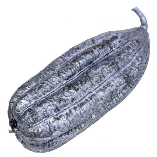 Floristik24 Luffa Fruta Violeta 14cm – 20cm 10uds