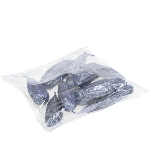 Floristik24 Luffa Fruta Violeta 14cm – 20cm 10uds