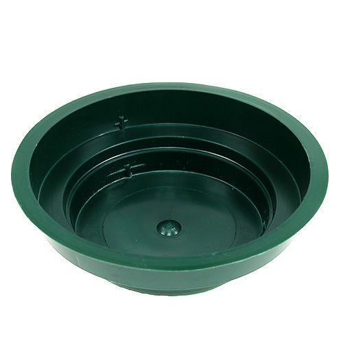 Floristik24 Cuenco junior 12cm verde 25uds