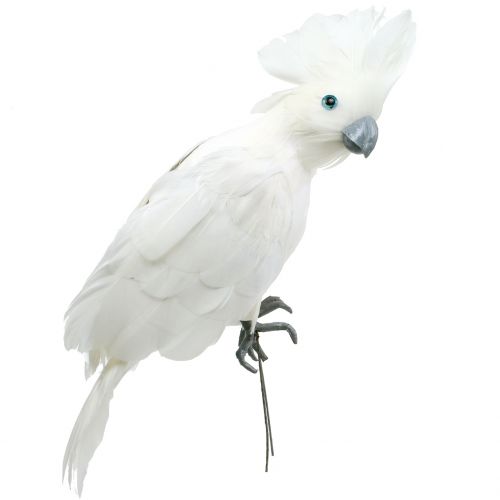 Floristik24 Cacatúa decorativa con plumas blancas L30cm