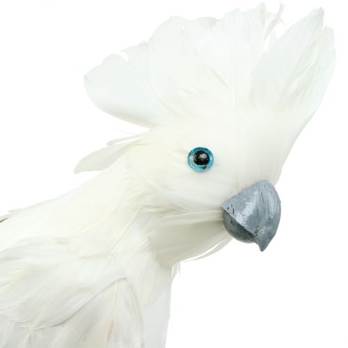 Floristik24 Cacatúa decorativa con plumas blancas L30cm