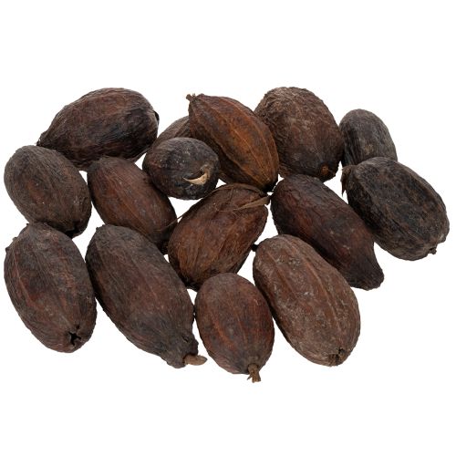 Artículo Fruta de cacao, natural, 10-18 cm, 15 unidades