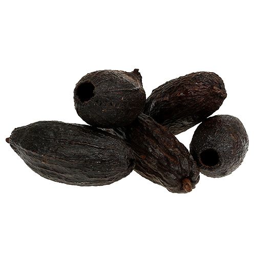 Floristik24 Vainas de cacao natural 10-18cm 15pcs