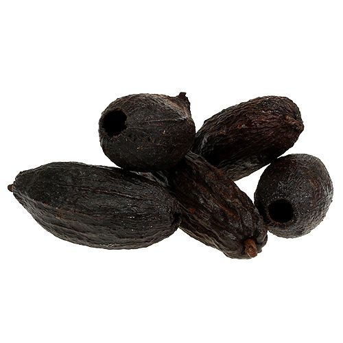 Artículo Fruto de cacao natural 10-18cm 15uds