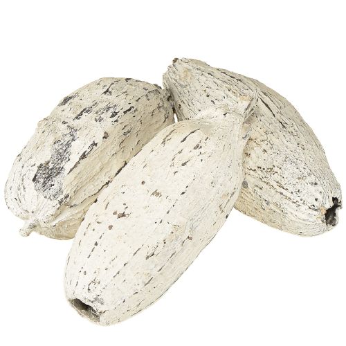 Artículo Maíz de cacao blanqueado 15 uds
