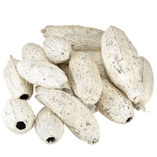 Artículo Maíz de cacao blanqueado 15 uds