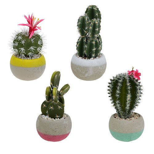 Floristik24 Mezcla de cactus en maceta H13cm 4pcs