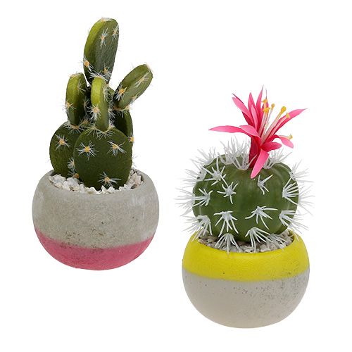 Floristik24 Mezcla de cactus en maceta H13cm 4pcs