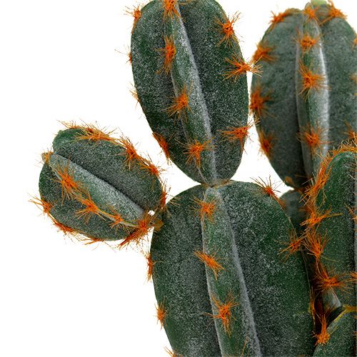 Floristik24 Cactus en maceta artificial 20cm