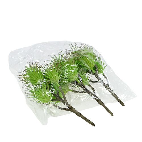 Floristik24 Ramas de cactus 20cm verde claro 3pcs