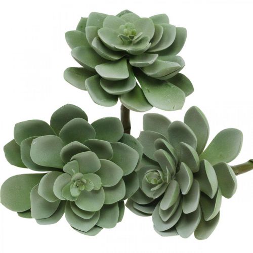 Floristik24 Plantas artificiales suculentas artificiales deco verde 11×8.5cm 3pcs