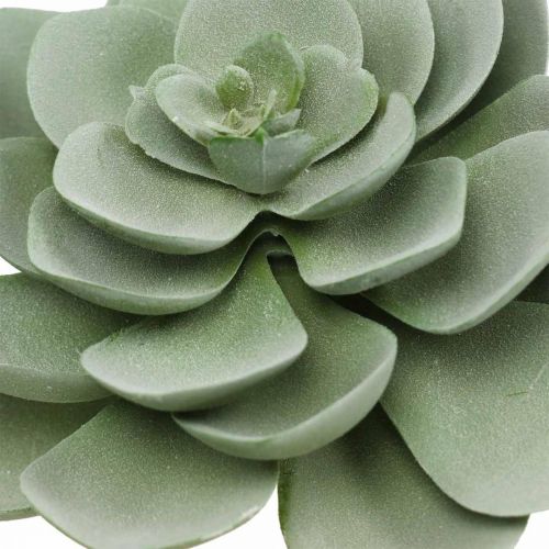 Floristik24 Plantas artificiales suculentas artificiales deco verde 11×8.5cm 3pcs