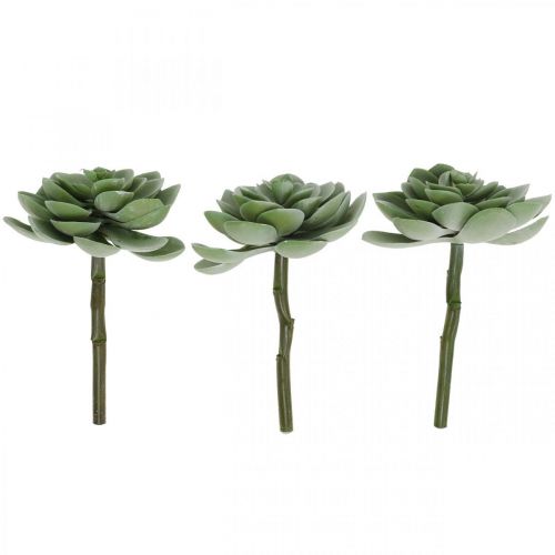 Floristik24 Plantas artificiales suculentas artificiales deco verde 11×8.5cm 3pcs