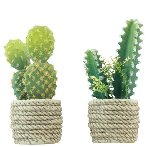 Floristik24 Cactus en maceta cactus artificiales surtidos 28cm 2uds