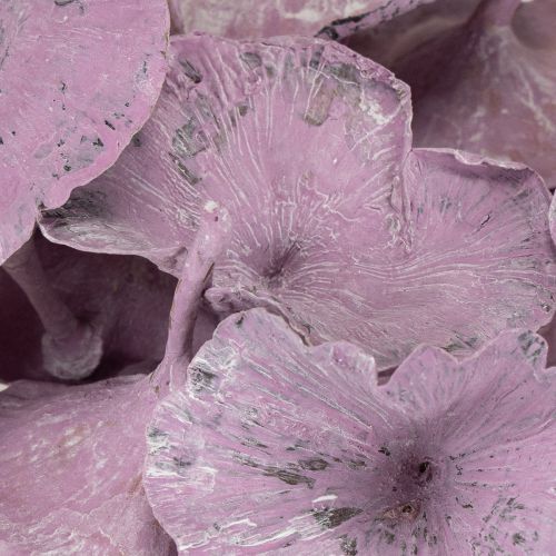 Artículo Hongo Kalix Morado, Lavado Blanco 100 uds