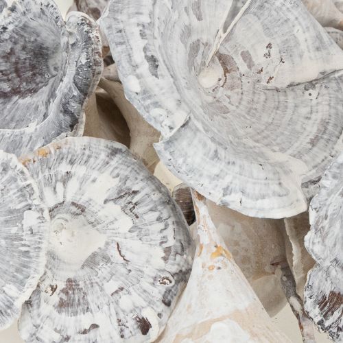 Artículo Hongo Kalix Blanco Lavado 100 uds