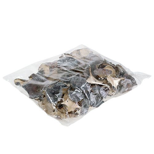 Floristik24 Seta Kalix blanca lavada 100uds