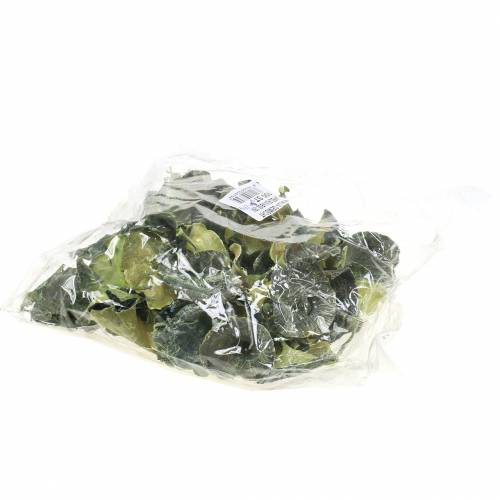 Artículo Kalix seta verde, blanqueado 100 uds.