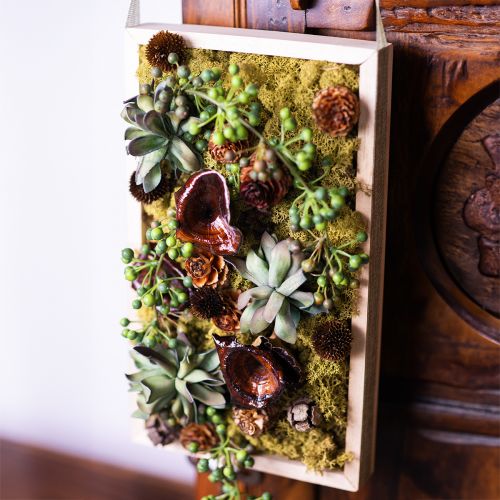 Artículo Seta Kalix Setas Secas Lacada Natural Decoración Grande 50uds