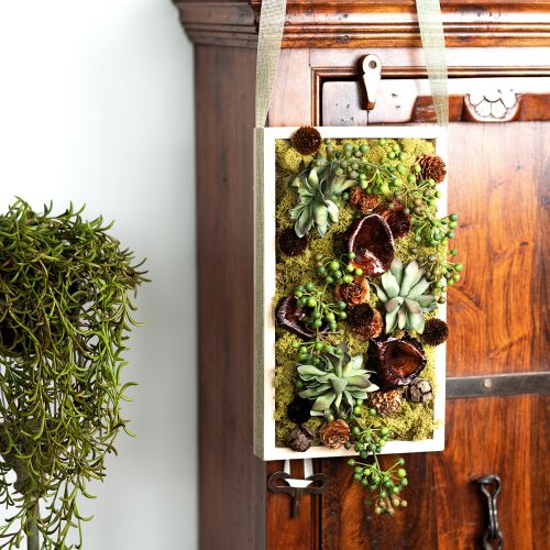 Artículo Seta Kalix Setas Secas Lacada Natural Decoración Grande 50uds