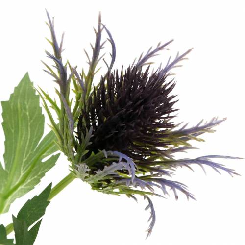 Floristik24 Rama de cardo artificial azul-violeta 68cm 3pcs