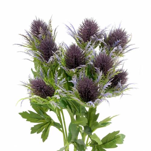 Floristik24 Rama de cardo artificial azul-violeta 68cm 3pcs