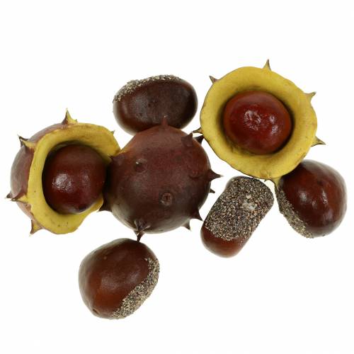 Floristik24 Surtido castaño decorativo 5,5cm 24uds