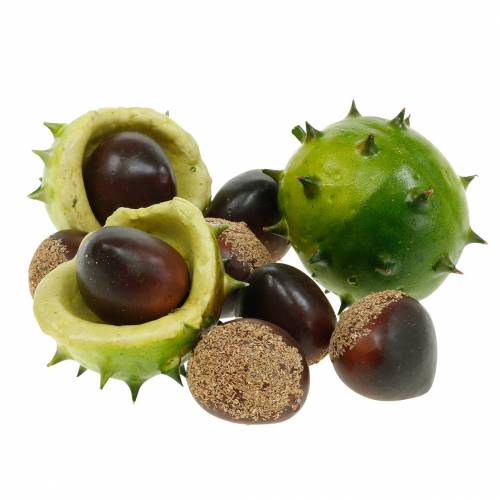 Castañas decorativas en la red verde 24pcs