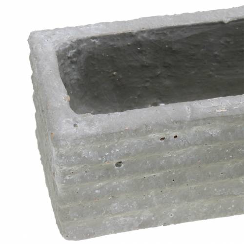 Floristik24 Caja de plantas hormigón gris claro 30x7cm H6.5cm 2pcs