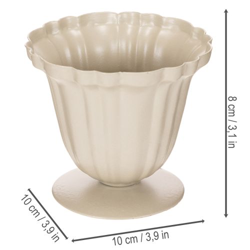 Cuenco decorativo, trofeo color crema, pequeño, 10 cm | Floristik24.es