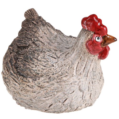Floristik24 Figura decorativa cerámica decorativa gallina divertida Pascua 16×12×12cm
