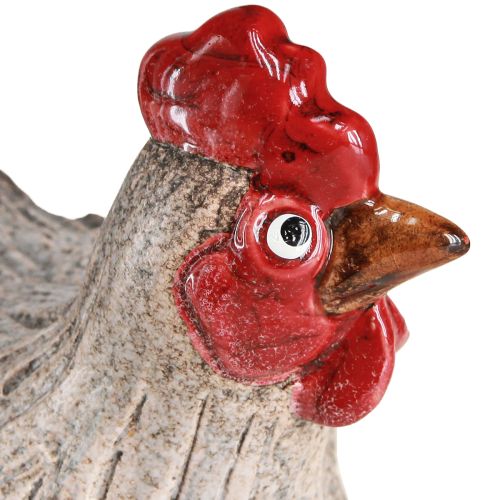 Floristik24 Figura decorativa cerámica decorativa gallina divertida Pascua 16×12×12cm