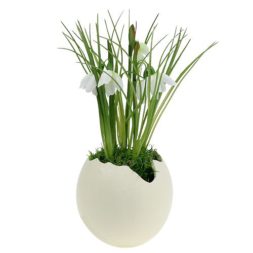 Floristik24 Crema de huevo de cerámica H12cm 2pcs